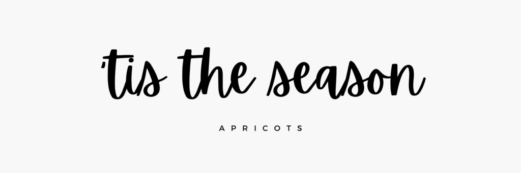 Brown sugar fall font to use in Canva