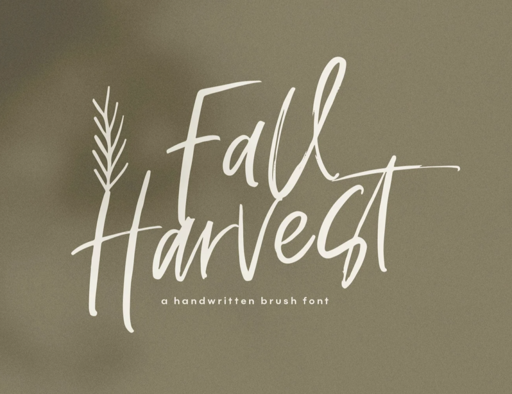 Fall custom font from KAfontdesigns to use in Canva.