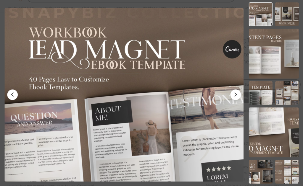 Workbook, ebook, and lead magnet Canva eBook templates by SnapyBiz
