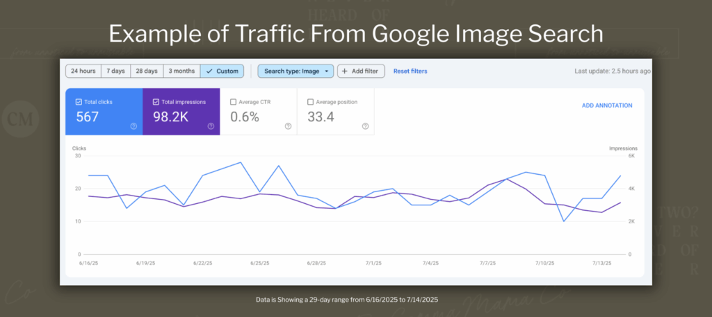 Example of traffic from Google Image Search for a Website | The Comma Mama Co.
